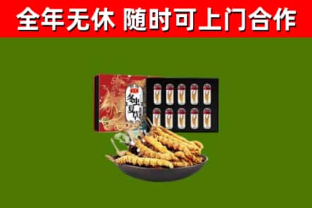 双台子区回收冬虫夏草价格
